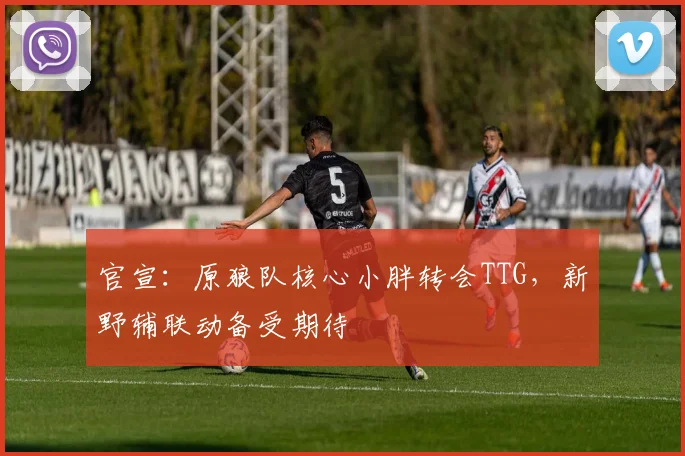 官宣:原狼队核心小胖转会TTG,新野辅联动备受期待
