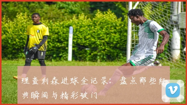 理查利森进球全记录：盘点那些经典瞬间与精彩破门