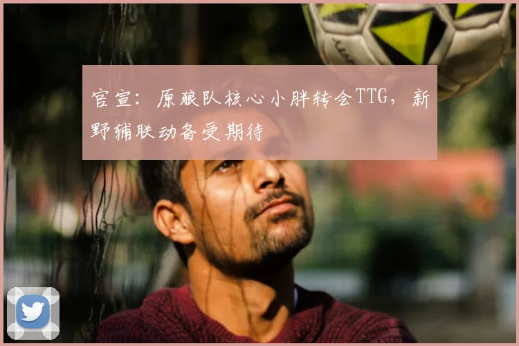 官宣：原狼队核心小胖转会TTG，新野辅联动备受期待